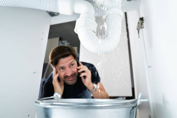 Best Faucet Repair  in Fest Grove, OR